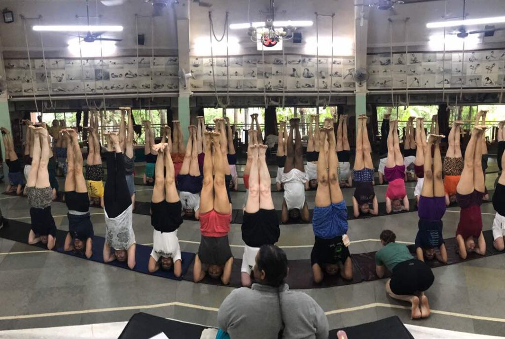 Instytut jogi z B.K.S. Iyengara RIMYI